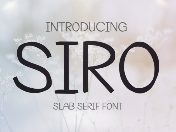 Discover Siro: A Unique Slab Serif Font for Distinctive Web Design
